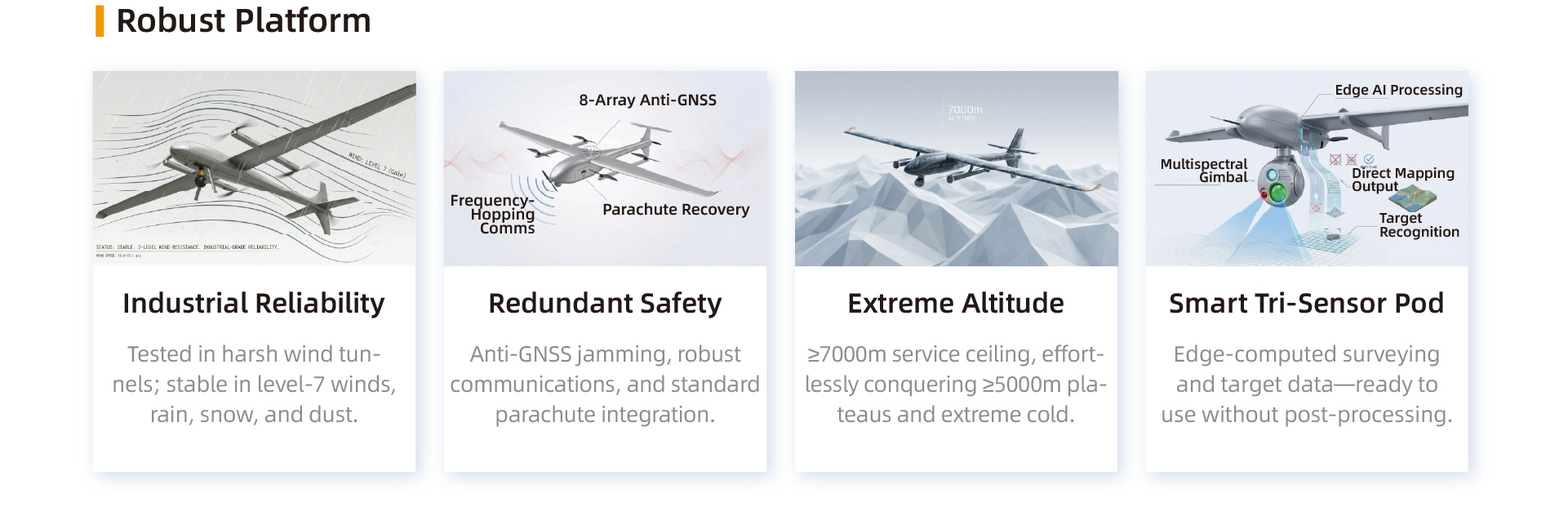 画板 1 副本 11-804.jpg